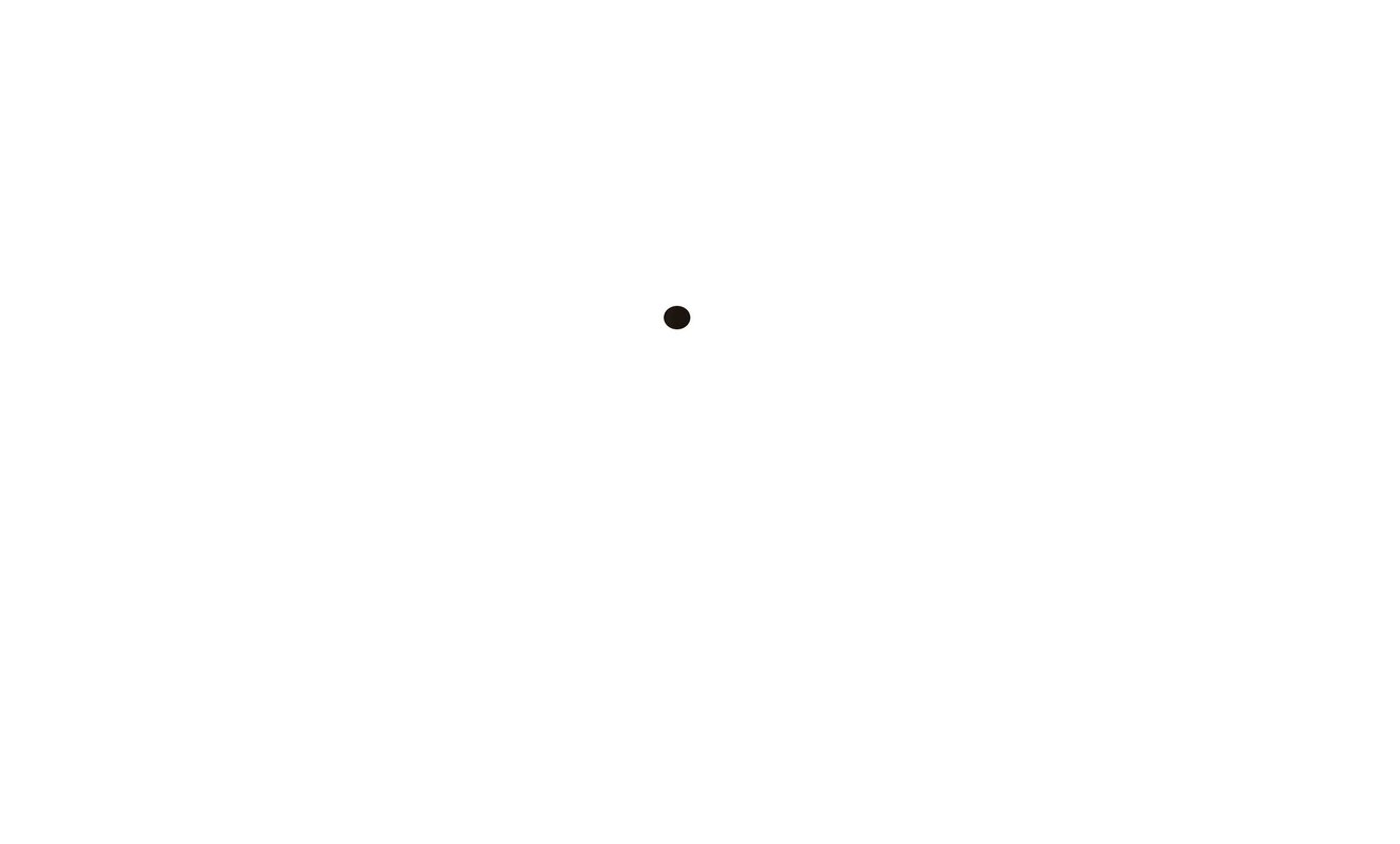Der schwarze Punkt