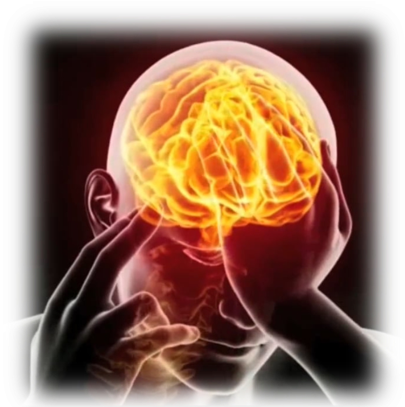 Titelbild Das menschliche Gehirn